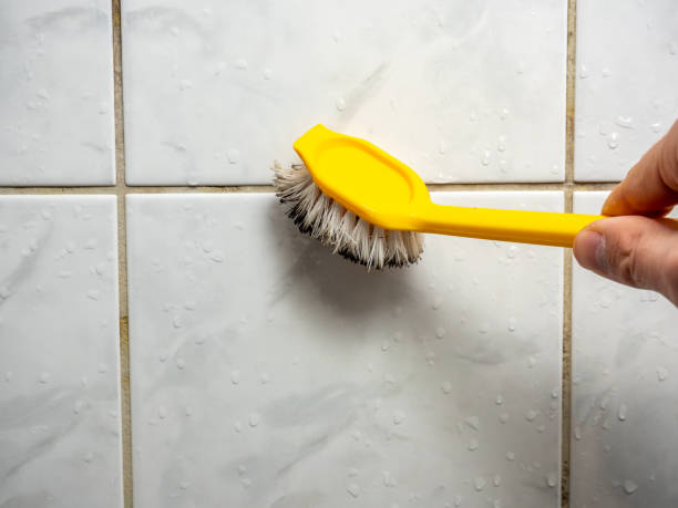 Best Toxic Mold Removal  in Greenlawn, NY